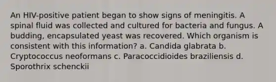 An HIV-positive patient began to show signs of meningitis. A spinal fluid was collected and cultured for bacteria and fungus. A budding, encapsulated yeast was recovered. Which organism is consistent with this information? a. Candida glabrata b. Cryptococcus neoformans c. Paracoccidioides braziliensis d. Sporothrix schenckii