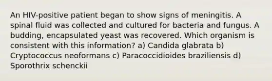 An HIV-positive patient began to show signs of meningitis. A spinal fluid was collected and cultured for bacteria and fungus. A budding, encapsulated yeast was recovered. Which organism is consistent with this information? a) Candida glabrata b) Cryptococcus neoformans c) Paracoccidioides braziliensis d) Sporothrix schenckii