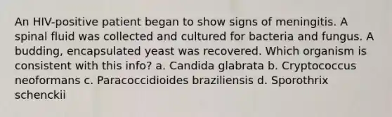 An HIV-positive patient began to show signs of meningitis. A spinal fluid was collected and cultured for bacteria and fungus. A budding, encapsulated yeast was recovered. Which organism is consistent with this info? a. Candida glabrata b. Cryptococcus neoformans c. Paracoccidioides braziliensis d. Sporothrix schenckii