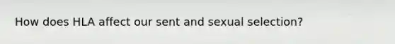 How does HLA affect our sent and sexual selection?