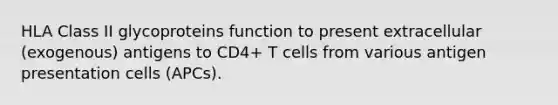 HLA Class II glycoproteins function to present extracellular (exogenous) antigens to CD4+ T cells from various antigen presentation cells (APCs).