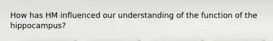 How has HM influenced our understanding of the function of the hippocampus?