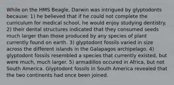 While on the HMS Beagle, Darwin was intrigued by glyptodonts because: 1) he believed that if he could not complete the curriculum for medical school, he would enjoy studying dentistry. 2) their dental structures indicated that they consumed seeds much larger than those produced by any species of plant currently found on earth. 3) glyptodont fossils varied in size across the different islands in the Galapagos archipelago. 4) glyptodont fossils resembled a species that currently existed, but were much, much larger. 5) armadillos occured in Africa, but not South America. Glyptodont fossils in South America revealed that the two continents had once been joined.