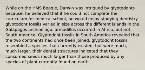 While on the HMS Beagle, Darwin was intrigued by glyptodonts because: he believed that if he could not complete the curriculum for medical school, he would enjoy studying dentistry. glyptodont fossils varied in size across the different islands in the Galápagos archipelago. armadillos occurred in Africa, but not South America. Glyptodont fossils in South America revealed that the two continents had once been joined. glyptodont fossils resembled a species that currently existed, but were much, much larger. their dental structures indicated that they consumed seeds much larger than those produced by any species of plant currently found on earth.