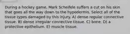 During a hockey game, Mark Scheifele suffers a cut on his skin that goes all the way down to the hypodermis. Select all of the tissue types damaged by this injury. A) dense regular connective tissue. B) dense irregular connective tissue. C) bone. D) a protective epithelium. E) muscle tissue.