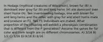 In Hodags (mythical creatures of Wisconsin), brown fur (B) is dominant over gray fur (b) and long horns (H) are dominant over short horns (h). Two true-breeding hodags, one with brown fur and long horns and the other with gray fur and short horns mate and produce an F1. Two F1 individuals are mated. What proportion of the offspring will exhibit a phenotypic combination that is different from the P generation? Assume the genes for fur color and horn length are on different chromosomes. A) 3/16 B) 1/2 C) 1/16 D) 9/16 E) 6/16