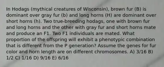 In Hodags (mythical creatures of Wisconsin), brown fur (B) is dominant over gray fur (b) and long horns (H) are dominant over short horns (h). Two true-breeding hodags, one with brown fur and long horns and the other with gray fur and short horns mate and produce an F1. Two F1 individuals are mated. What proportion of the offspring will exhibit a phenotypic combination that is different from the P generation? Assume the genes for fur color and horn length are on different chromosomes. A) 3/16 B) 1/2 C) 1/16 D) 9/16 E) 6/16