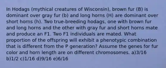 In Hodags (mythical creatures of Wisconsin), brown fur (B) is dominant over gray fur (b) and long horns (H) are dominant over short horns (h). Two true-breeding hodags, one with brown fur and long horns and the other with gray fur and short horns mate and produce an F1. Two F1 individuals are mated. What proportion of the offspring will exhibit a phenotypic combination that is different from the P generation? Assume the genes for fur color and horn length are on different chromosomes. a)3/16 b)1/2 c)1/16 d)9/16 e)6/16