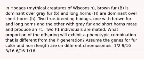 In Hodags (mythical creatures of Wisconsin), brown fur (B) is dominant over gray fur (b) and long horns (H) are dominant over short horns (h). Two true-breeding hodags, one with brown fur and long horns and the other with gray fur and short horns mate and produce an F1. Two F1 individuals are mated. What proportion of the offspring will exhibit a phenotypic combination that is different from the P generation? Assume the genes for fur color and horn length are on different chromosomes. 1/2 9/16 3/16 6/16 1/16