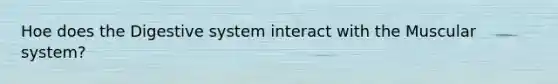 Hoe does the Digestive system interact with the Muscular system?