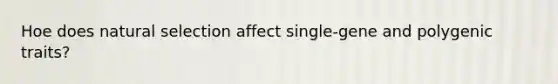 Hoe does natural selection affect single-gene and polygenic traits?