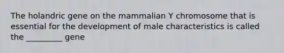 The holandric gene on the mammalian Y chromosome that is essential for the development of male characteristics is called the _________ gene