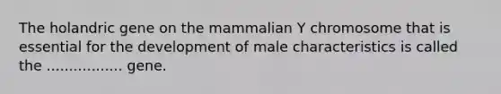 The holandric gene on the mammalian Y chromosome that is essential for the development of male characteristics is called the ................. gene.