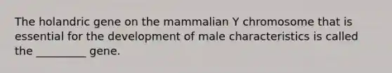 The holandric gene on the mammalian Y chromosome that is essential for the development of male characteristics is called the _________ gene.