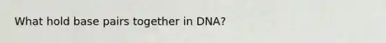 What hold base pairs together in DNA?