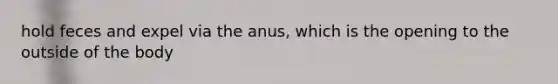 hold feces and expel via the anus, which is the opening to the outside of the body