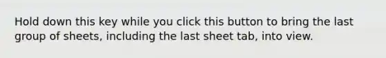 Hold down this key while you click this button to bring the last group of sheets, including the last sheet tab, into view.