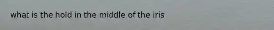 what is the hold in the middle of the iris