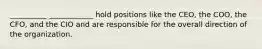 __________ ____________ hold positions like the CEO, the COO, the CFO, and the CIO and are responsible for the overall direction of the organization.