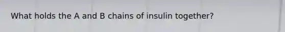 What holds the A and B chains of insulin together?