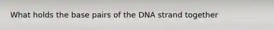 What holds the base pairs of the DNA strand together