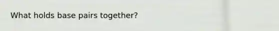 What holds base pairs together?