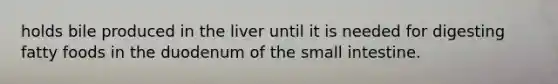 holds bile produced in the liver until it is needed for digesting fatty foods in the duodenum of the small intestine.