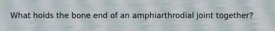 What holds the bone end of an amphiarthrodial joint together?