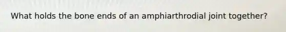 What holds the bone ends of an amphiarthrodial joint together?