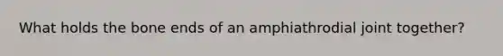 What holds the bone ends of an amphiathrodial joint together?