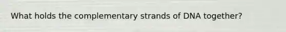 What holds the complementary strands of DNA together?