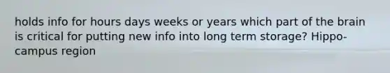 holds info for hours days weeks or years which part of the brain is critical for putting new info into long term storage? Hippo-campus region