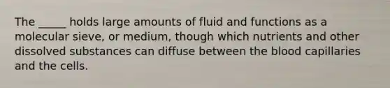 The _____ holds large amounts of fluid and functions as a molecular sieve, or medium, though which nutrients and other dissolved substances can diffuse between the blood capillaries and the cells.