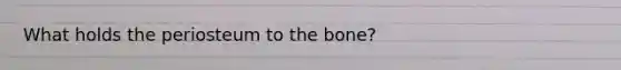 What holds the periosteum to the bone?
