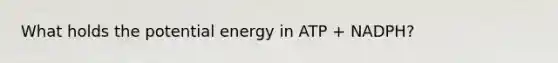 What holds the potential energy in ATP + NADPH?