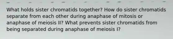 What holds sister chromatids together? How do sister chromatids separate from each other during anaphase of mitosis or anaphase of meiosis II? What prevents sister chromatids from being separated during anaphase of meiosis I?