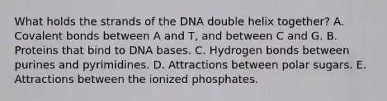 What holds the strands of the DNA double helix together? A. Covalent bonds between A and T, and between C and G. B. Proteins that bind to DNA bases. C. Hydrogen bonds between purines and pyrimidines. D. Attractions between polar sugars. E. Attractions between the ionized phosphates.