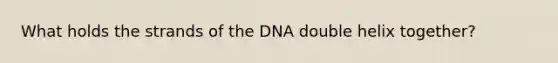 What holds the strands of the DNA double helix together?