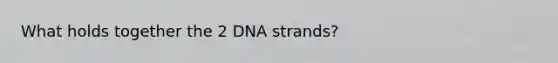 What holds together the 2 DNA strands?