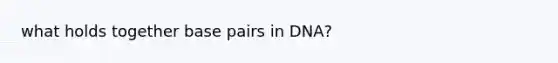 what holds together base pairs in DNA?