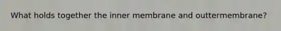 What holds together the inner membrane and outtermembrane?