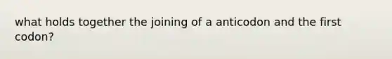 what holds together the joining of a anticodon and the first codon?