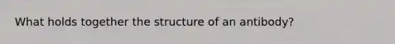 What holds together the structure of an antibody?