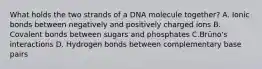 What holds the two strands of a DNA molecule together? A. Ionic bonds between negatively and positively charged ions B. Covalent bonds between sugars and phosphates C.Brüno's interactions D. Hydrogen bonds between complementary base pairs