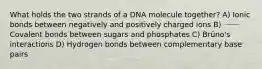 What holds the two strands of a DNA molecule together? A) Ionic bonds between negatively and positively charged ions B) Covalent bonds between sugars and phosphates C) Brüno's interactions D) Hydrogen bonds between complementary base pairs