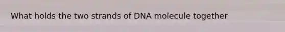 What holds the two strands of DNA molecule together