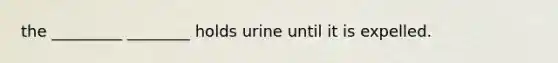 the _________ ________ holds urine until it is expelled.