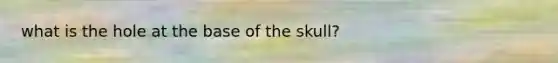 what is the hole at the base of the skull?