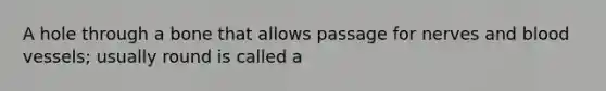 A hole through a bone that allows passage for nerves and blood vessels; usually round is called a