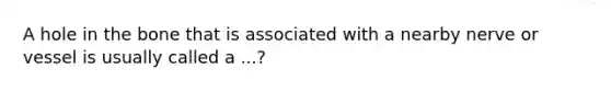 A hole in the bone that is associated with a nearby nerve or vessel is usually called a ...?